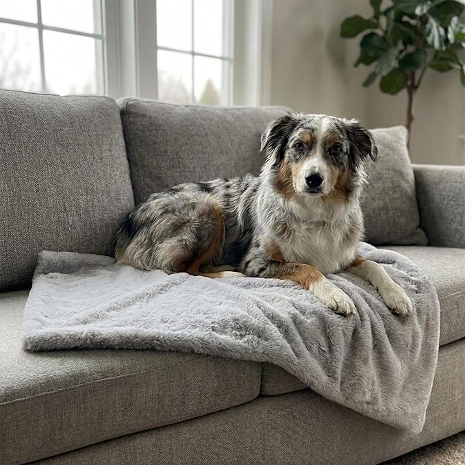 4 Cats & Dogs Leak Resistant Mini Faux Fur Throw, Soft European Faux Fur Pet Blanket, Velvet Backing, 40 x 30 Inch Cozy Furniture Protector for Pets, Machine Washable (Grey)
