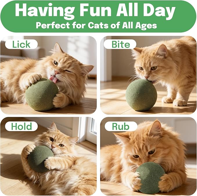 3.94 Inches Giant Catnip Ball, Lickable Cat Nip Ball, Interactive Cat Balls for Bored Adult Cats Indoor, Jumbo Kitty Teeth Cleaning Chew Dental Toy