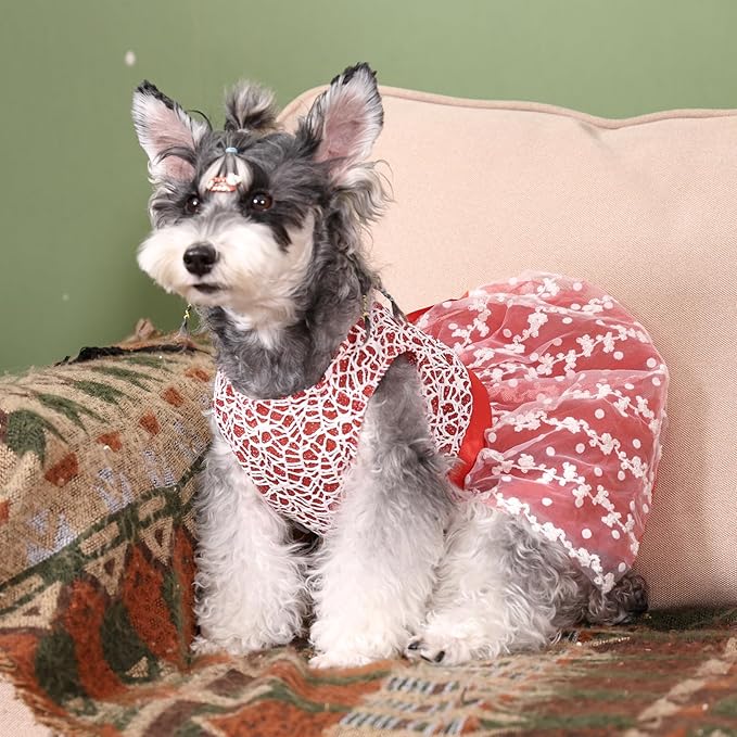 CuteBone Dog Christmas Dress Girl Puppy Birthday Skirt Tutu Cat Wedding Outfit Pet Party Clothes for Small Dogs Costume DD09L