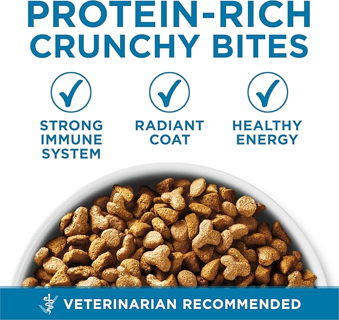 Purina ONE High Protein, Natural Senior Dry Cat Food, Indoor Advantage Senior+ - 3.5 lb. Bag
