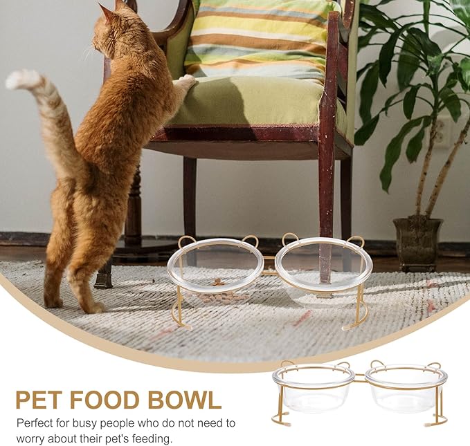 BESTYASH Raised Double Glass Cat Bowl Gold Metal Stand Non-Slip Elevated Pet Feeding Dish Cats and Dogs Feeding and Watering