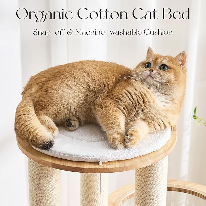 797Audio Modern Solid Wood Cat Tree Tower, 54" Tall Cat Tree with Scratching Posts, Capsule&Hammock, Luxury Natural Oak Wood Cat Tower, Aesthetic Multi-Level Cat Climbing Tree for Large Indoor Cats
