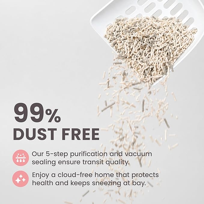 Lady N Granular Tofu Cat Litter Mini-Pellet Compatible with Automatic Self Cleaning Cat Litter Box, Strong Clumping, Low Dust, Odor Control Activated Charcoal 9lb