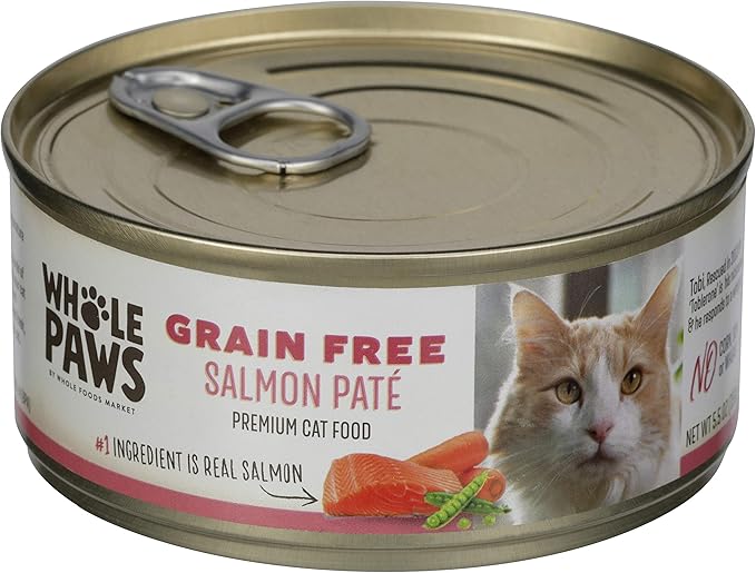 Whole Paws, Grain-Free Wet Cat Food, Salmon Paté Loaf Recipe, 5.5 Ounce