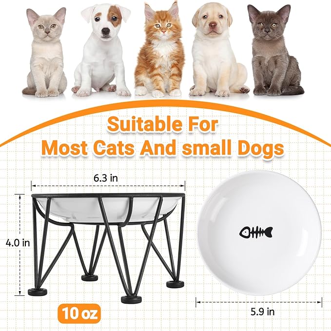 Elevated Ceramic Cat Bowls – Whisker-Friendly & Anti-Vomiting, Non-Slip Raised Cat Food Dishes – Stylish, Safe & Hygienic Feeding Set (2-Pack)
