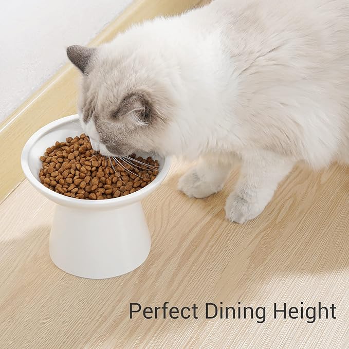 CEEFU Extra Wide Elevated Ceramic Cat Bowl, 6.2" Shallow Dish for Whisker Fatigue Relief, 5" Height for Easy Feeding, Durable Raised Cat Food Bowls, Pack of 2, White