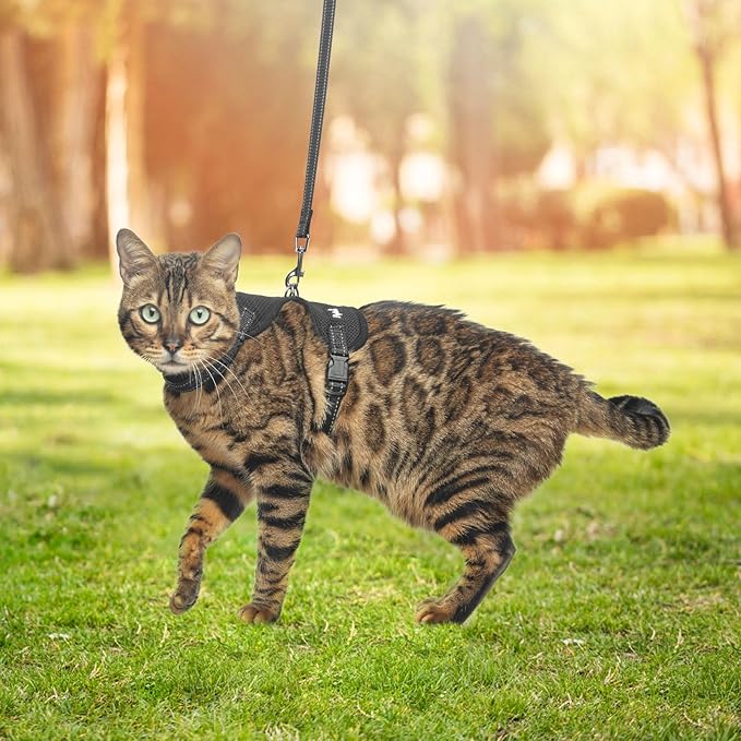 PUPTECK Cat Harness and Leash Set Escape Proof, Reflective Adjustable Soft Mesh Kitten Vest Harness for Walking Travel, Black, S
