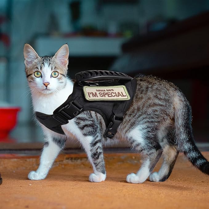 AIWAI Tactical Cat Harness for Walking Escape Proof, Adjustable Pet Vest Harness with Control Handle for Large Cat Small Dog, Soft Mesh, Gift with Patch