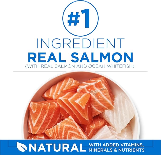 Purina ONE Plus High Protein Cat Food Dry Salmon and Ocean Whitefish Cat Skin and Coat Health Formula - 7 lb. Bag