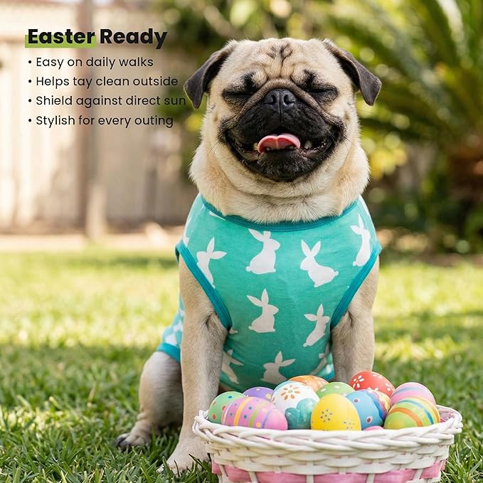Fitwarm Easter Bunny Dog Shirt, Dog Clothes for Small Dogs Boy Girl, Pet Cat Holiday Outfit, Teal Green, XS