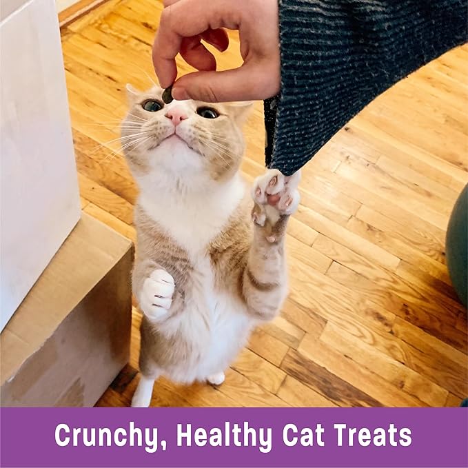Wellness Kittles Natural Grain Free Cat Treats, Salmon & Cranberries, 6-Ounce Bag (Pack of 2)