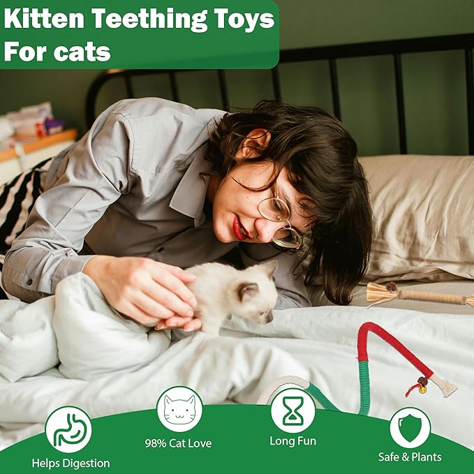 4Pcs Cat Chew Toys | 2 Silvervine Sticks & 2 Cat Cotton Rope Toys with Natural Catnip Stuffed Bags | Safe Tooth Cleaning Cats Indoor Toys | Silver vine Sticks & Catnip Rope Kitten Tooth Cleaning Toys