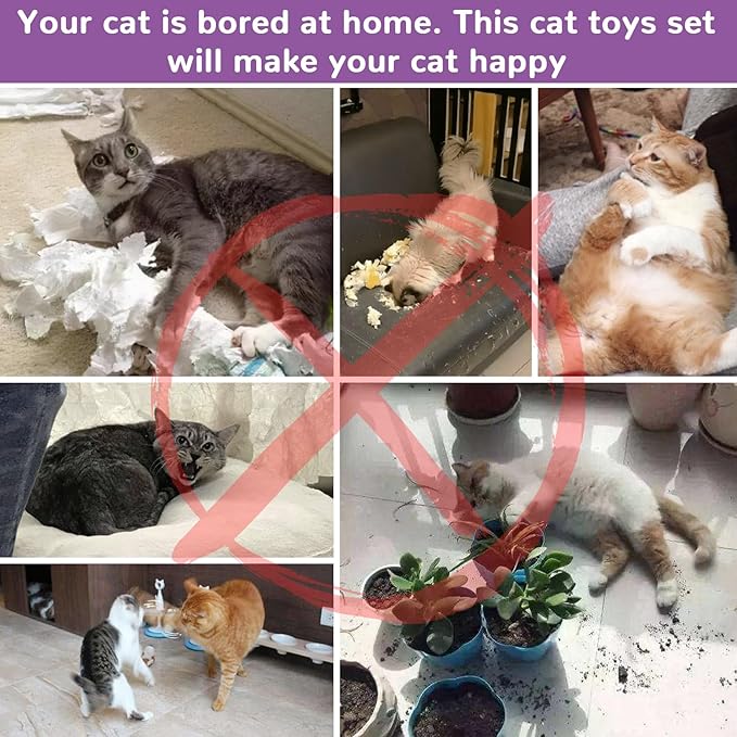 Retro Shaw Cat Toys Pack 33Pcs, Interactive Kitten Toys for Indoor Kittens Cats, Collapsible Kitty Play Tunnel Tent Feather Wand Balls Bell Springs Mouse Kitty Toys for All Breeds (2 Tunnel)