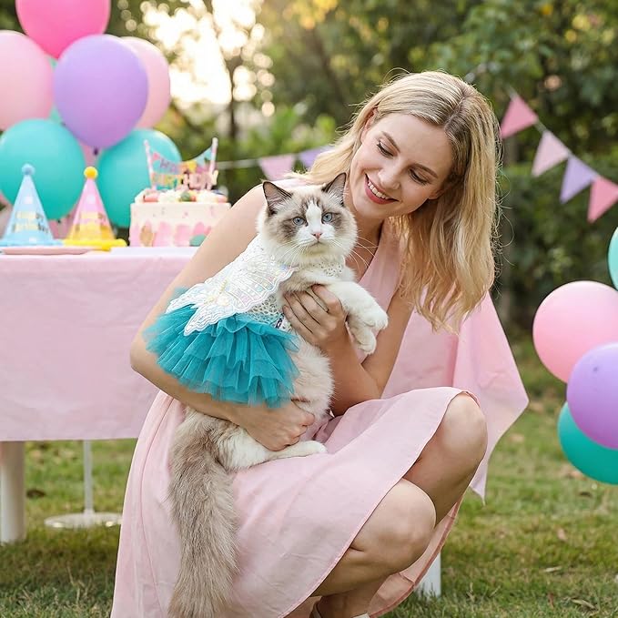 Fairy Dog Dress for Small Dogs & Cats, Lake Blue Princess Outfit with Embroidered Butterfly Wings, Lace Top & Soft Tulle Skirt, Snap Closure (S)