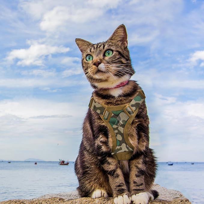 AIWAI Tactical Cat Harness for Walking Escape Proof, Adjustable Pet Vest Harness, Soft Mesh with Control Handle for Large Cat Small Dog, Gift with Patch (Camouflage, cat Harness only)