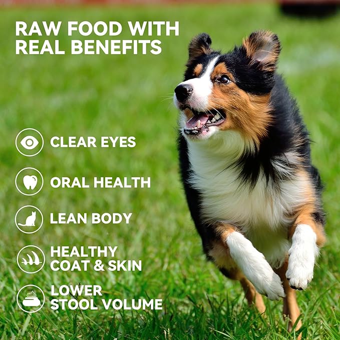 OPET Freeze Dried Chicken Breast Cat Treats for Cats & Dogs，Single Ingredient Grain Free High Protein Pet Food，Healthy Training Snacks (Chicken Breast, 1.48 Ounce)