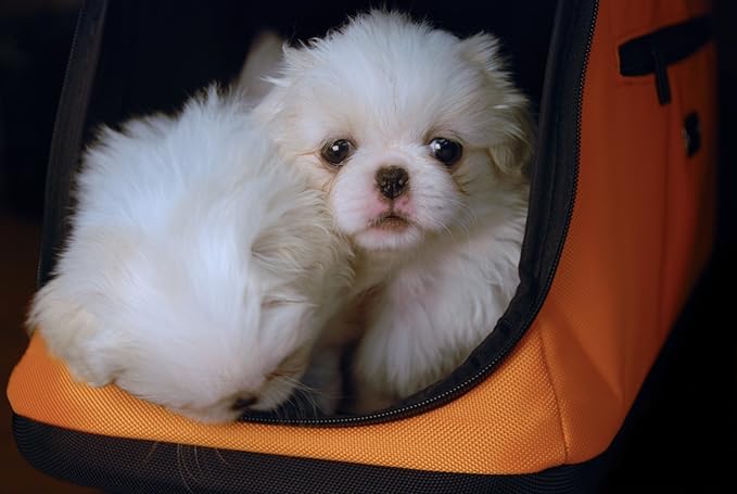 Sleepypod Air in-Cabin Pet Carrier, Jet Black