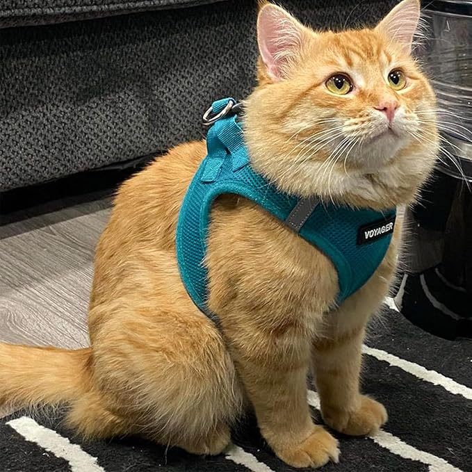 Voyager Step-in Pet Harness - All Weather Mesh, Adjustable Step in Harness for Cats and Dogs by Best Pet Supplies - 307S Turquoise, XXXS