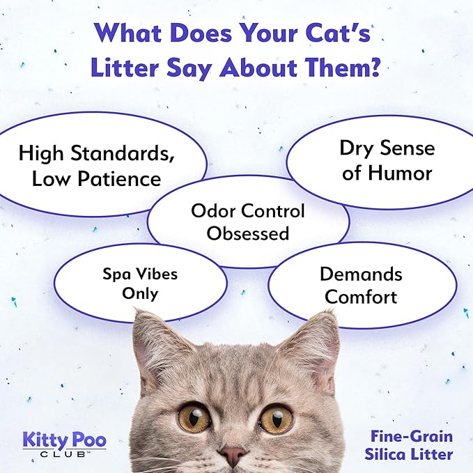 Fine-Grain Silica Cat Litter – Ultra Absorbent Crystal Litter for Cats, Low Dust, Long-Lasting Odor Control, Fast Drying, Lightweight Bag