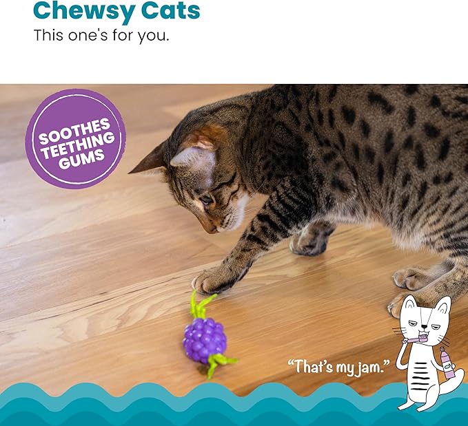 Catstages Bouncing Grape Teether Cat Toy, Soft and Textured Chew, Catnip Oil Coating