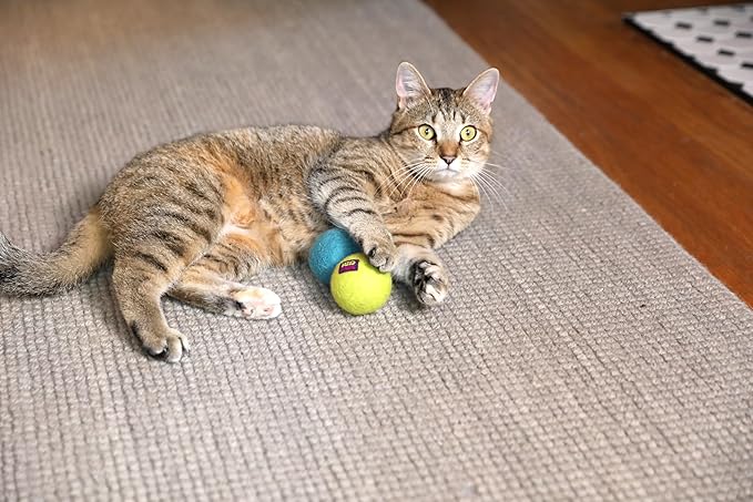 Mad Cat Wacky Wool Balls with Catnip and Silvervine Blend Natural Wool Fiber Cat Toys, Pack of 2