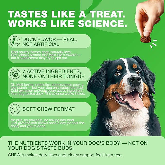 Grass Burn Spot Chews for Dogs - Urine Neutralizer for Lawn - Pee Lawn Spot Saver Caused by Urine - Probiotics, Enzymes & Multivitamins - Grass Saver Soft Treats for Canine Digestive and UTI Support