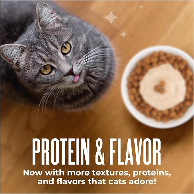 Tiki Cat Friends Stix Mousse Treats, Single Serve Lickable Treat or Dry Food Topper, with Chicken & Pumpkin in Gravy, 1.6 oz. Pouch