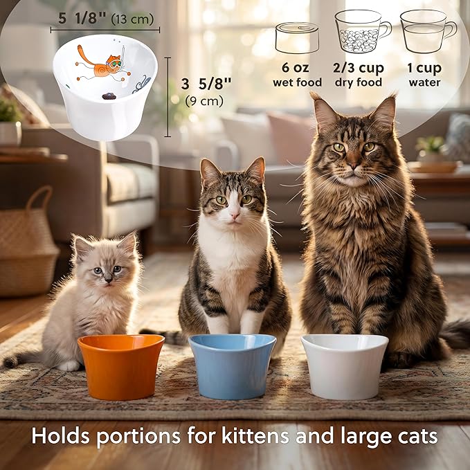 Elevated Cat Bowls for Water – Raised Bowl for Indoor Cats – Whisker & Neck Fatigue Shallow Cat Dishes – Vet-Recommended Height, Modern Pedestal Design – Non-Slip & Dishwasher-Safe – 8 oz Original