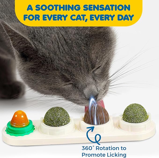 SunGrow Catnip Balls for Wall, 4 Slots - Mint, Wooden Vine, Insect Fruit, Cat Candy, Edible Kitty Chew Toys for Entertainment & Oral Care, Detachable and Rotatable Design, White, 8" x 2" x 1.5", 1 Pc 