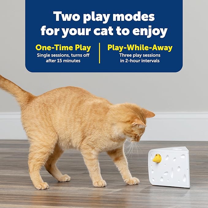 PetSafe Cheese - Interactive, Electronic Cat Toy - Peek-A-Boo Mouse Hunt Game - Hide and Seek for Bored and Anxious Cats - Kitten Teaser Toy - Automated Cat Toy for Cat Enrichment and Exercise