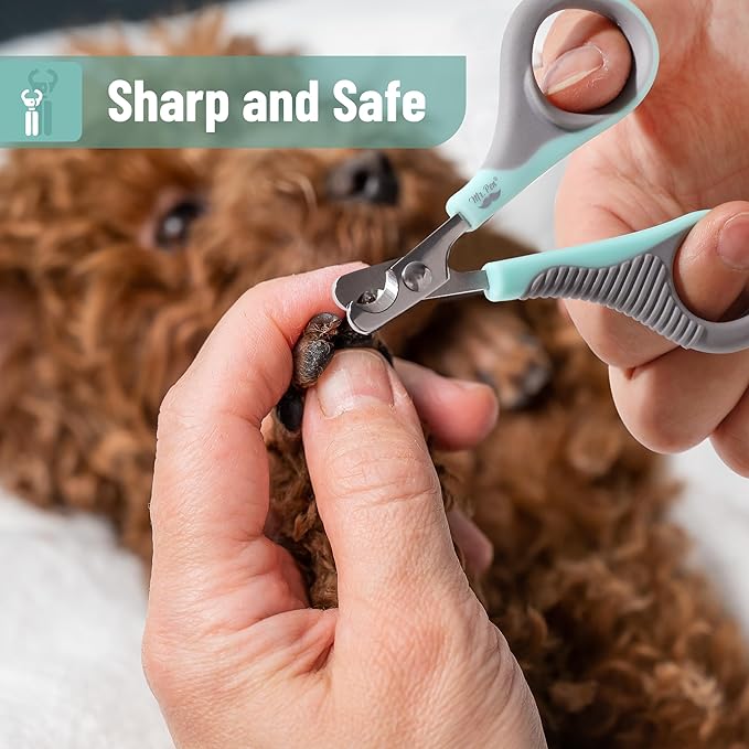 Mr. Pen- Cat Nail Clipper, Stainless Steel, Professional Sharp Cat Claw Trimmer for Small and Medium Cats, Pet Nail Clipper with Sturdy Non Slip Handle