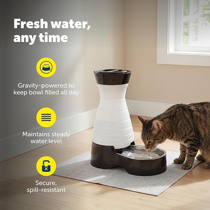 PetSafe Healthy Pet Food & Water Stations - Cat & Dog Food Storage Container - Filter Included with Waterer - Keeps Food & Water Fresh - Suitable for Small, Medium, & Large Dogs - Stainless Steel Bowl