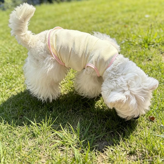 2Pcs Cooling Shirts for Small Dogs, Sleeveless Dog Vest, Lightweight Breathable Dog Summer Tank Top Sun Protection Shirts for Dogs Cats Pet Apparel (Pink Yellow, X-Large Size for 12-16.5lb Pets)