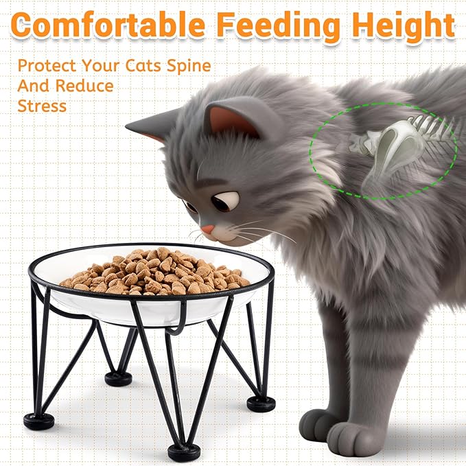 Elevated Ceramic Cat Bowls – Whisker-Friendly & Anti-Vomiting, Non-Slip Raised Cat Food Dishes – Stylish, Safe & Hygienic Feeding Set (2-Pack)