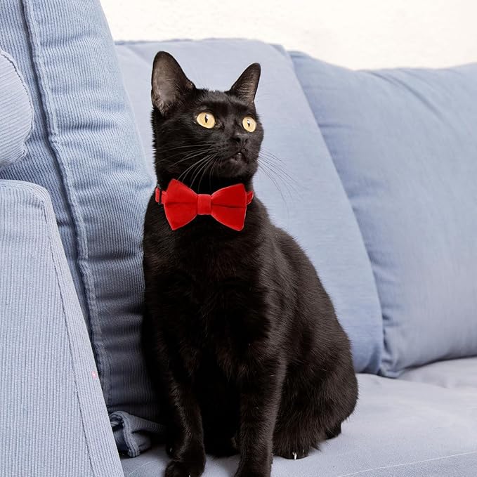 Mozeat Lens 2 Pcs Velvet Cat Collar Cute Cat Bow Tie Collar for Boy Cats Breakaway Kitten Collars with Bell Adjustable Puppy Bow Tie Collar Personalized Collars for Small Pets