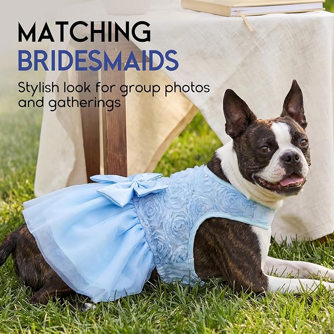 ASENKU Dog Dress Pet Wedding Dress Princess Lace Puppy Birthday Party Outfit Formal Apparel Girl for Small Medium Dogs Cats (2XL, Blue)