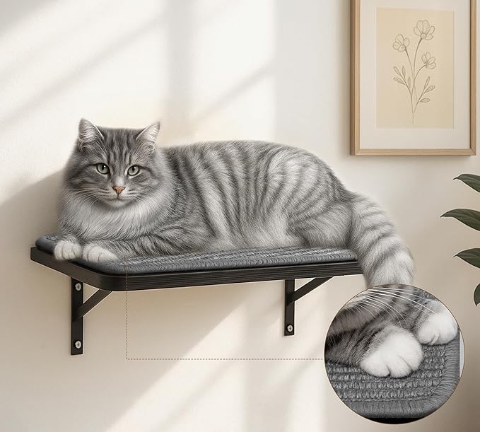 Cat Wall Shelves Set of 2, Black Solid Wood Cat Window Perch with Grey Sisal Cushion, Wall-Mounted Space-Saving Climbing Bed, Lounging Shelf for Kittens & Cats, Black Furniture for Indoor