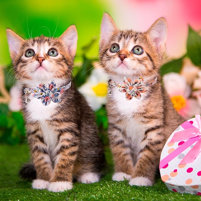 ADOGGYGO Floral Cat Collar with Bells, 2 Pack Girl Kitten Collar with Removable Floral, Adjustable Flower Collars for Cats (Orange & Blue)