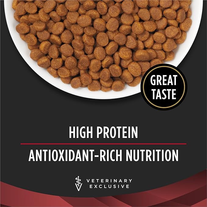 Pro Plan Veterinary Diets Purina DM Dietetic Management Feline Formula Dry Cat Food - 6 lb. Bag