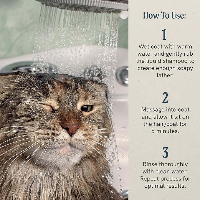 J.R.LIGGETT'S Natural Liquid Cat Shampoo for Sensitive Skin - 100% Detergent Free, Non-GMO, Tear-Free Formula Gently Calms Dry, Itchy Skin - Safe for Kittens and for Regular Use - 8.45 fl oz