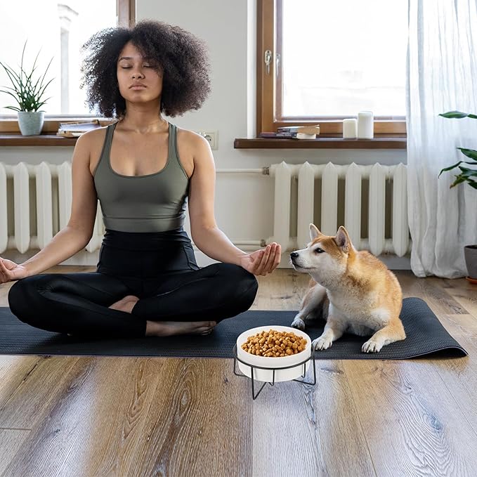 Elevated Cat Food Bowl with Metal Stand, 400ml Ceramic Raised Pet Feeder for Cats and Small Dogs, Non-Slip White Bowl with Black Iron Frame, Suitable for Feeding and Watering