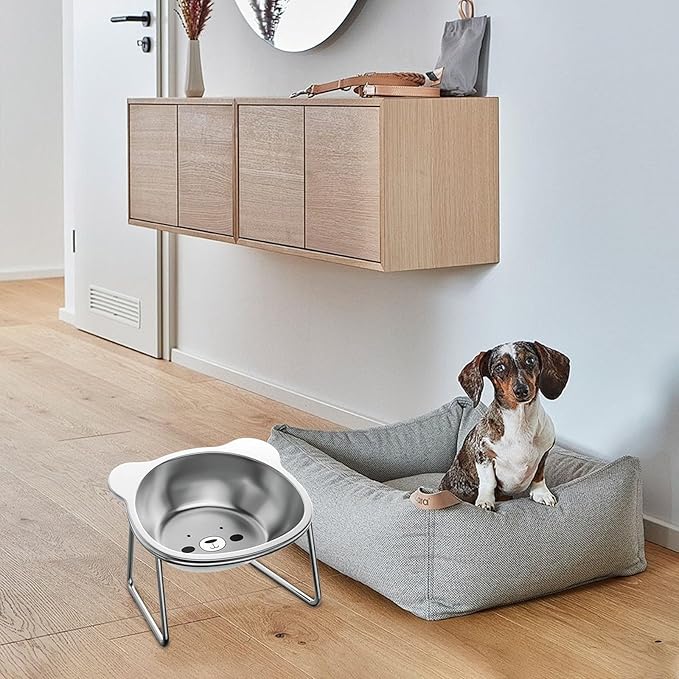 Elevated Cat Bowls, 4.9" Extra Wide Stainless Steel Cat Food Bowls with Anti-Slip Metal Stand Whisker Friendly Water Dishes for Indoor Cats and Small Dogs Cats Dishes Cats Food Dish