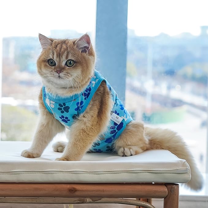Cat Recovery Suit – Soft, Breathable Onesie for Female & Male Pets After Surgery, Spay, Neuter or Wounds, Surgery Outfit, Cone Alternative, Litter Access, Machine Washable, Blue Paw Print