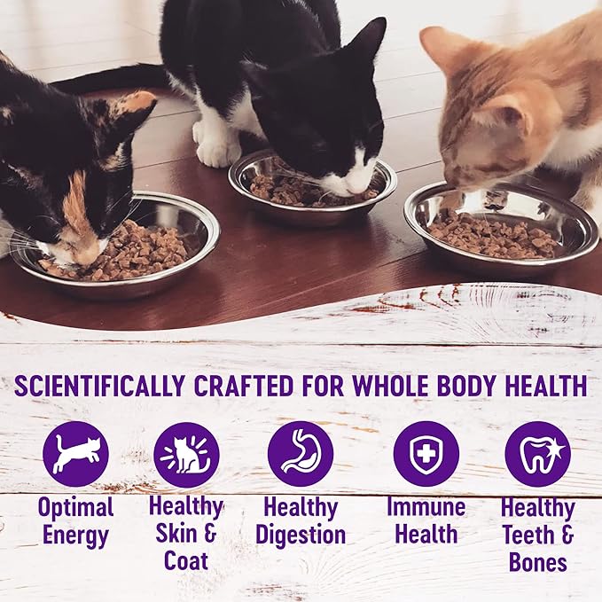 Wellness Healthy Indulgence Morsels Adult Wet Cat Food, Natural, Protein Rich, Grain Free, Turkey and Duck Recipe, 3 oz, Pack of 24 Pouches