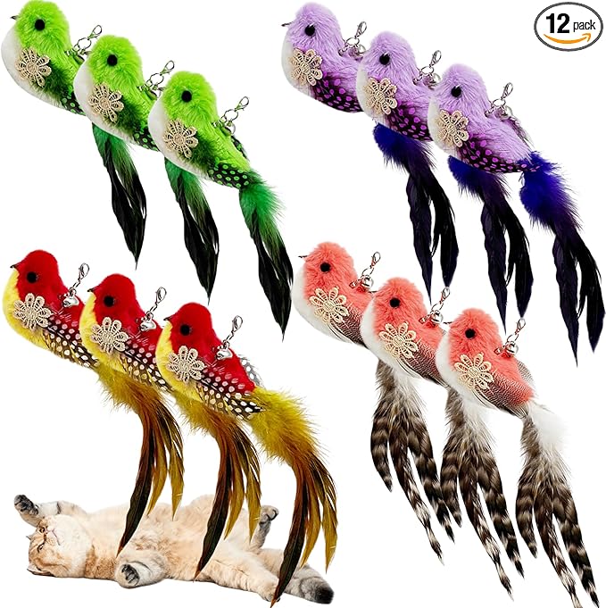 Cat Feather Toy Bird Refills, 12 Pieces Cat Wand Attachments Feather Bird Toy for Indoor Cats