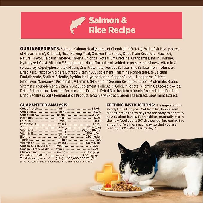 Wellness CORE+ Digestive Health Adult Dry Cat Food, Natural, Wholesome Grains Kibble, Salmon and Rice Recipe, 11 lb Bag