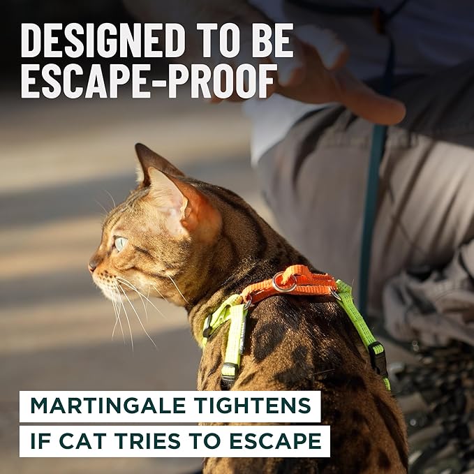 OutdoorBengal Always On™ Martingale Cat Harness and Leash Escape Proof Set – Vest for All-Day Kitten Adventures – Adult Cats - Cat Leash and Harness Escape Proof + Leash (Black Reflective, XL)