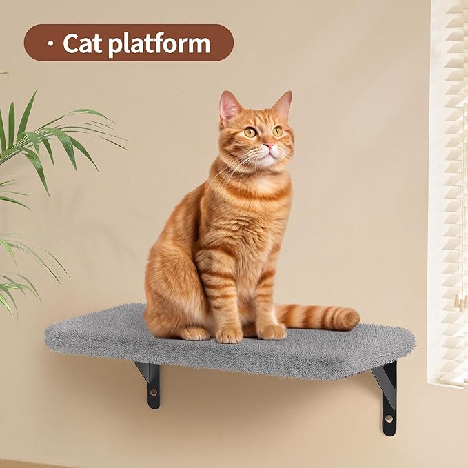 Cat Wall Shelves for Large Cats, Stable & Safe Kitty Walls Furniture Set for 40LBS Cats with Wooden Cat Climber,House, Bridge, Tree, Steps, and Scratcher for 16 Inch Drywall (Grey, 6-in-1)
