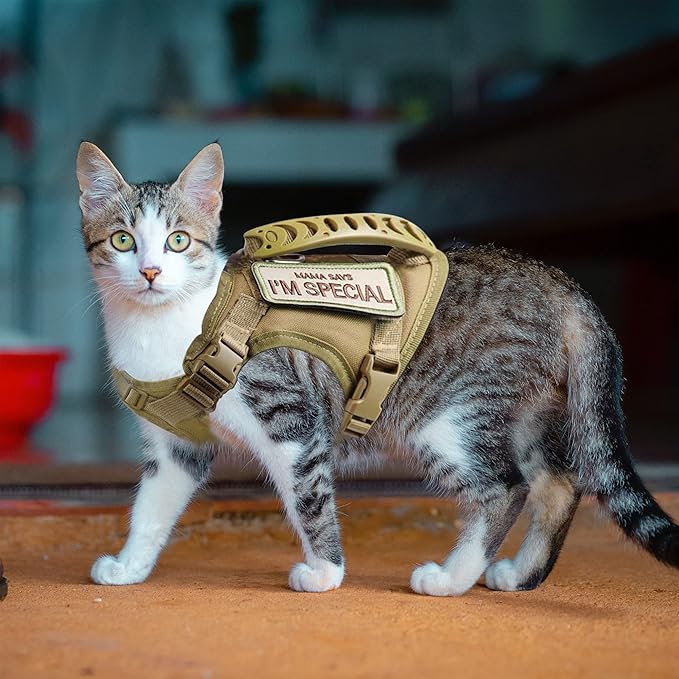AIWAI Tactical Cat Harness for Walking Escape Proof, Adjustable Pet Vest Harness with Control Handle for Large Cat Small Dog, Soft Mesh, Gift with Patch