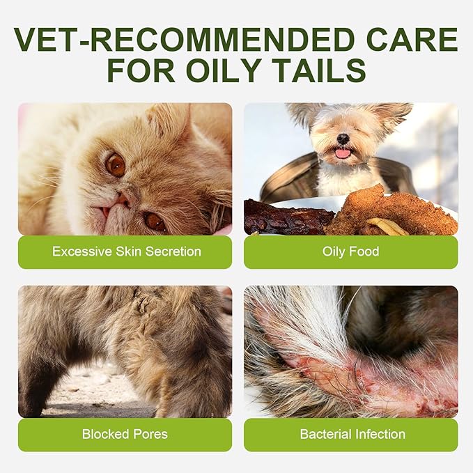 Cat Oily Tail Cleanser-Gentle 2-in-1 Wash Brush-Reduces Oil& Grease-PH Balanced No-Rinse Mousse-Witch Hazel and Sophora Extracts 5.1 fl oz